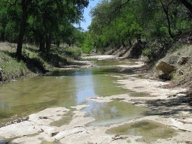 (private lake, pond, creek) Acreage For Sale in Evant Texas