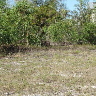 CAPTAIN'S COVE homesite in Bokeelia. Boating subdivision without - photo 8