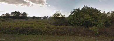 Lehigh Acres Area Lot For Sale in Lehigh Acres Florida