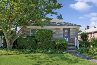 3 bedroom detached ranch with full basement sits midblock on a - photo 28