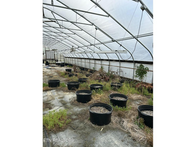 Great opportunity to own a working farm and nursery business - photo 29