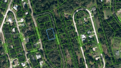 (private lake, pond, creek) Lot For Sale in Other City - In The State Of Florida Florida