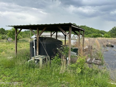Great opportunity to own a working farm and nursery business - photo 50