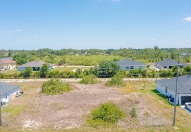 Lehigh Acres Area Lot For Sale in Lehigh Acres Florida