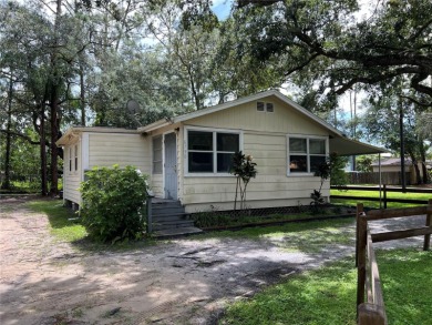 Trout Lake Home For Sale in Saint Cloud Florida