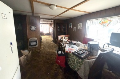 Riverfront Fixer-Upper! - photo 27