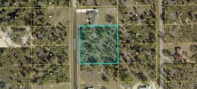 Lehigh Acres Area Lot For Sale in Lehigh Acres Florida