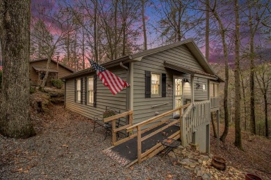 (private lake, pond, creek) Home For Sale in Ellijay Georgia