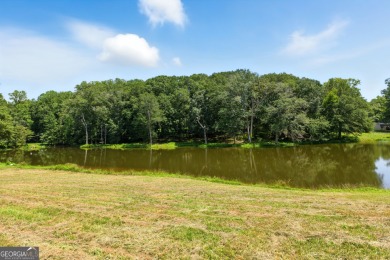 (private lake, pond, creek) Acreage For Sale in Carnesville Georgia