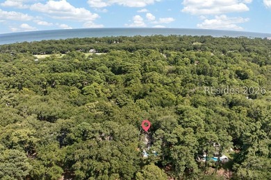Experience the best of Palmetto Dunes living at 44 Off Shore - photo 43