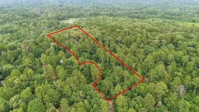 Holly Lake Ranch / Holly Lake Lot For Sale in Holly Lake Ranch Texas