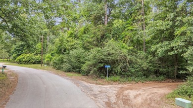 Build the home you've been dreaming of on this beautiful 1 - photo 3
