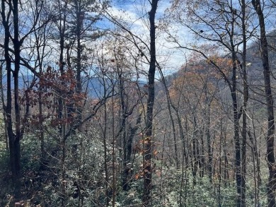Lake Chatuge Acreage For Sale in Hiawassee Georgia