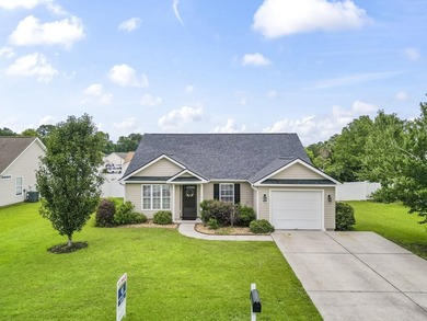 Discover a welcoming three-bedroom, two-bath home in Osprey - photo 1