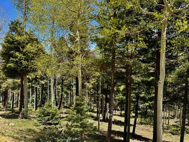 Monte Verde Lake Acreage For Sale in Angel Fire New Mexico