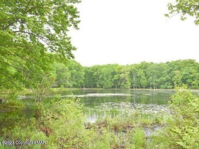 Paupackan Lake Lot For Sale in Hawley Pennsylvania