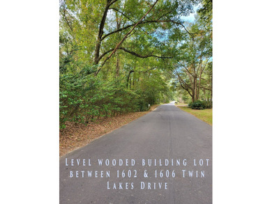 Level Building lot located between 1602 and 1606 Twin Lakes - photo 2