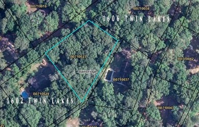 Level Building lot located between 1602 and 1606 Twin Lakes - photo 4
