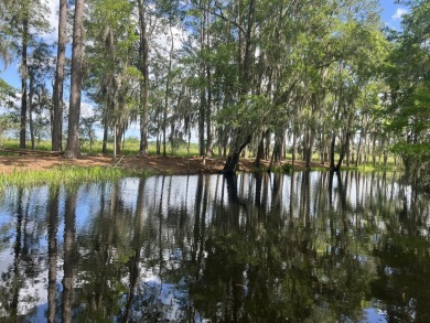 Lake Lot For Sale in Walterboro, South Carolina