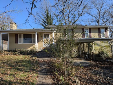 Lake Home For Sale in Forsyth, Missouri