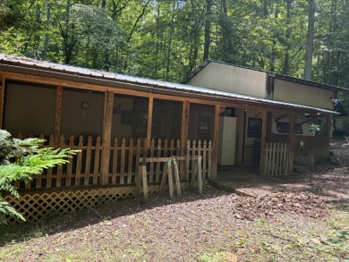 Lake Home For Sale in Hiawassee, Georgia