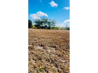 Spacious freshwater canal lot located in a fast-growing area of - photo 3