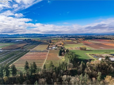 Lake Home For Sale in Dayton, Oregon