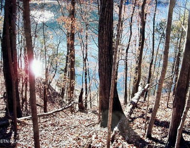 Year Round Water, Main Channel, Norris Lakefront Lot. Across - photo 12
