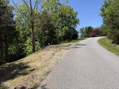 Year Round Water, Main Channel, Norris Lakefront Lot. Across - photo 13