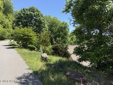Year Round Water, Main Channel, Norris Lakefront Lot. Across - photo 14