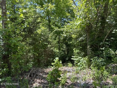 Year Round Water, Main Channel, Norris Lakefront Lot. Across - photo 15