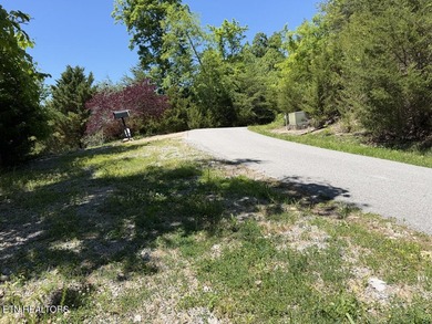 Year Round Water, Main Channel, Norris Lakefront Lot. Across - photo 16