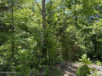 Year Round Water, Main Channel, Norris Lakefront Lot. Across - photo 17