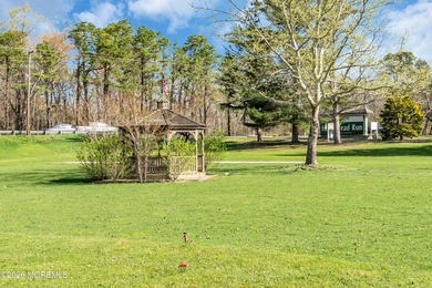 Welcome to Homestead Run! A 55+ community with a salt water pool - photo 19