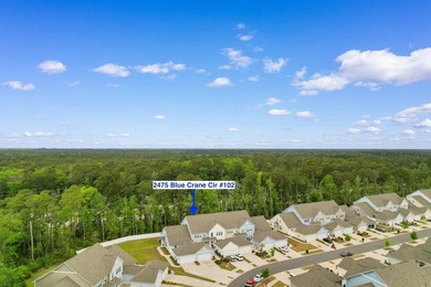 If you've been looking for a place in Market Common that just - photo 33