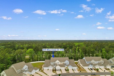 If you've been looking for a place in Market Common that just - photo 34
