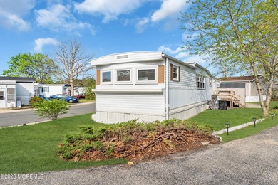 Welcome to Homestead Run! A 55+ community with a salt water pool - photo 34
