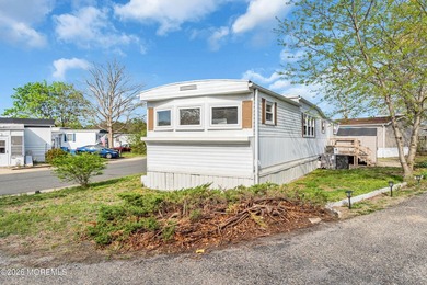 Welcome to Homestead Run! A 55+ community with a salt water pool - photo 36