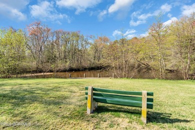 Welcome to Homestead Run! A 55+ community with a salt water pool - photo 37