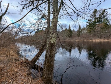 (private lake, pond, creek) Acreage For Sale in Phillips Wisconsin