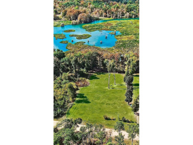 Lake Seminole Lot For Sale in Brinson Georgia