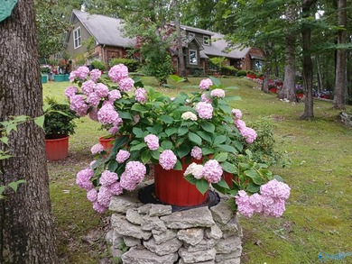 (private lake, pond, coastal) Home For Sale in Decatur Alabama