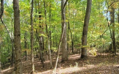 Lake Chatuge Lot For Sale in Hayesville North Carolina