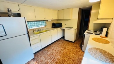 Charming Cottage with Dock Access & Stunning Views! Call Josh! - photo 13