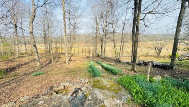 Charming Cottage with Dock Access & Stunning Views! Call Josh! - photo 7