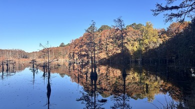 (private lake, pond, coastal) Acreage For Sale in Hartsville South Carolina