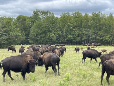 Welcome to the premier hunting and fishing destination in the