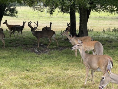 Welcome to the premier hunting and fishing destination in the