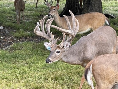 Welcome to the premier hunting and fishing destination in the