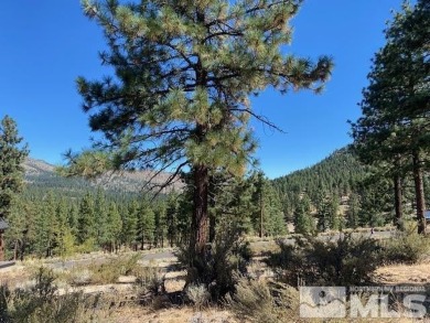Lake Tahoe - Douglas County Lot For Sale in Carson City Nevada